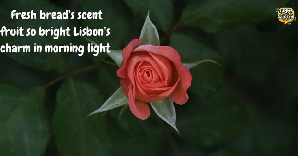 First Day of May Quotes for Market Strolls in Lisbon