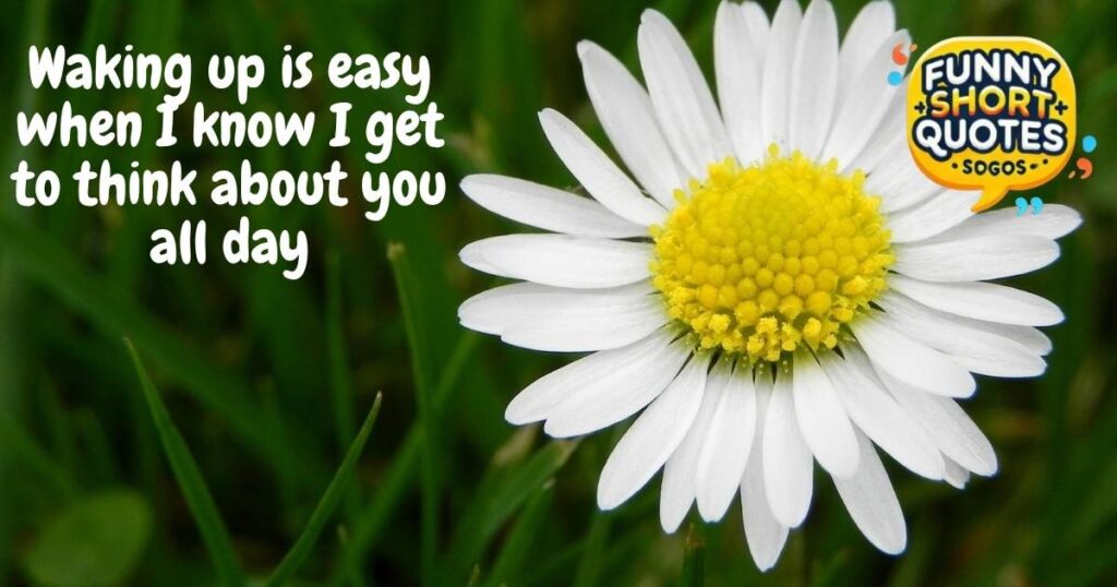 Flirty Good Morning Handsome Quotes
