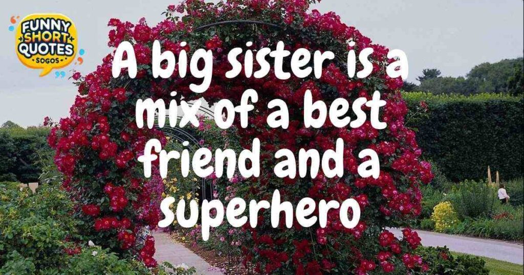 Funny Big-Sister-to-Be Quotes