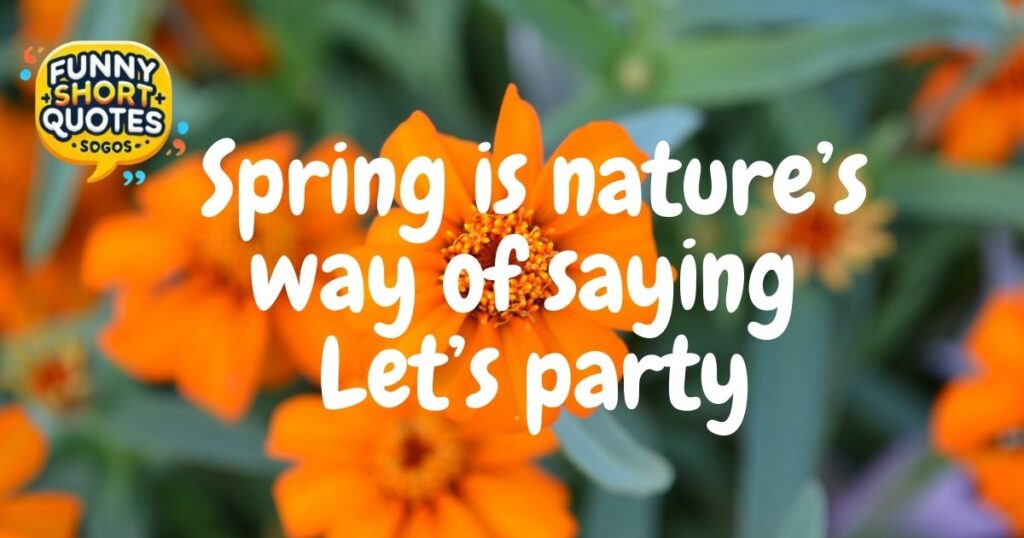 Funny First Day of March Quotes