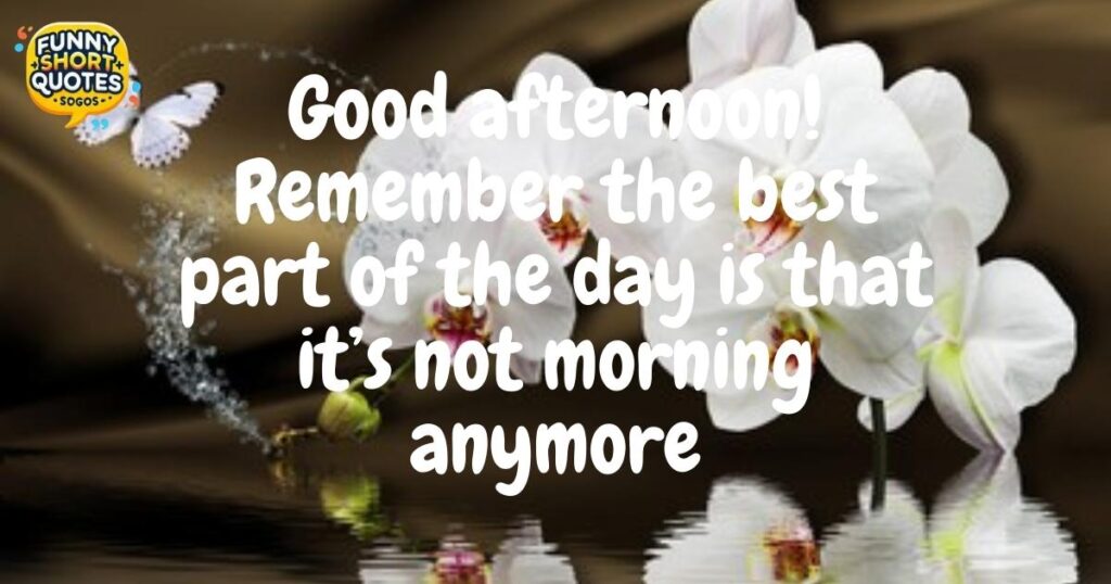 Funny Good Afternoon Quotes for Friends