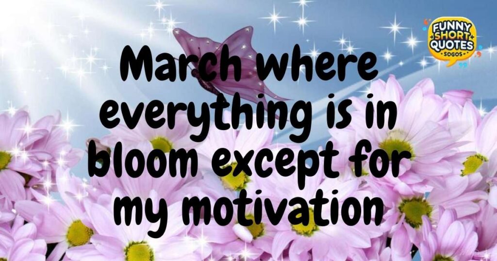 Funny March Quotes for Instagram