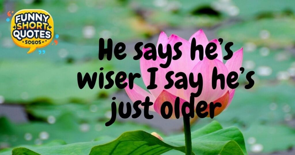 Funny “Older Sibling” Quotes