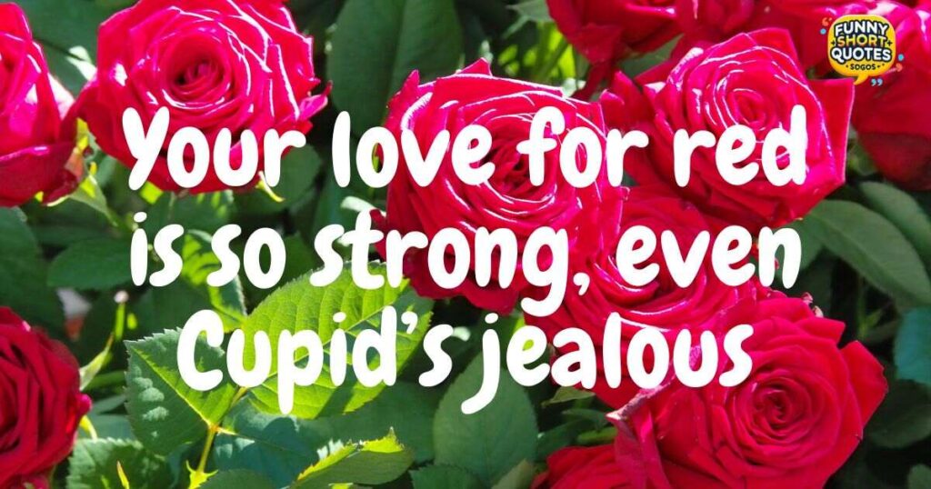 Funny Valentine Messages for the Red Lover in Your Life