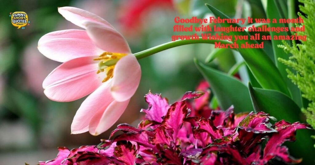 Goodbye February Messages for Friends