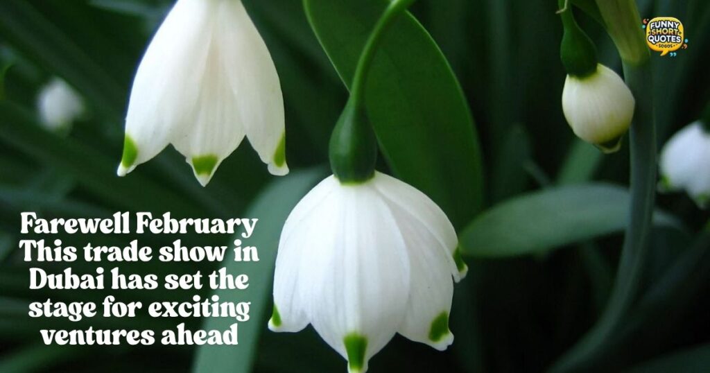 Goodbye February Quotes for Wrapping Up a Successful Trade Show in Dubai