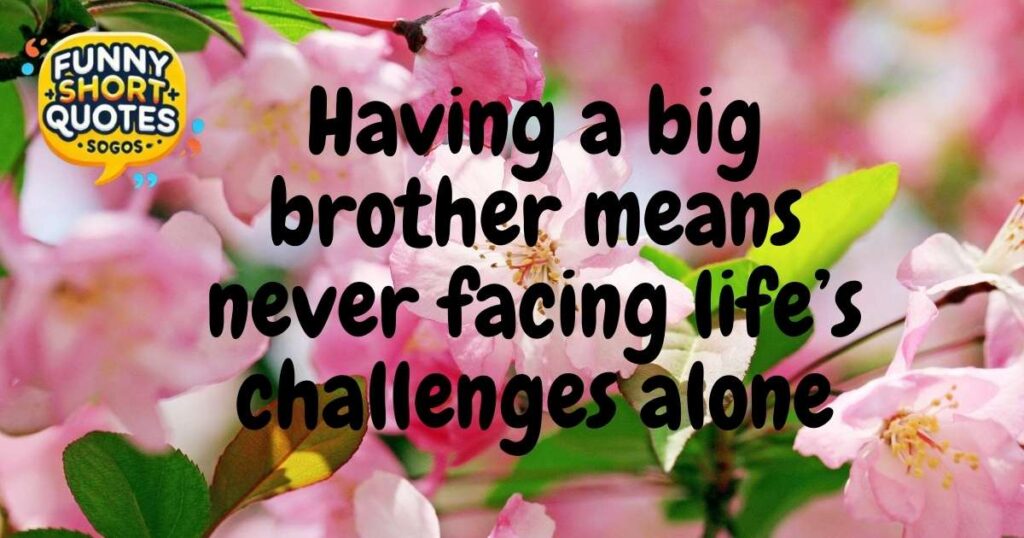 Importance of a Big Brother for a Little Sister