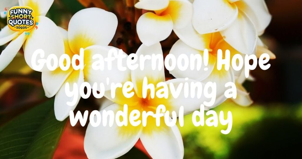 Short Good Afternoon Quotes for Friends