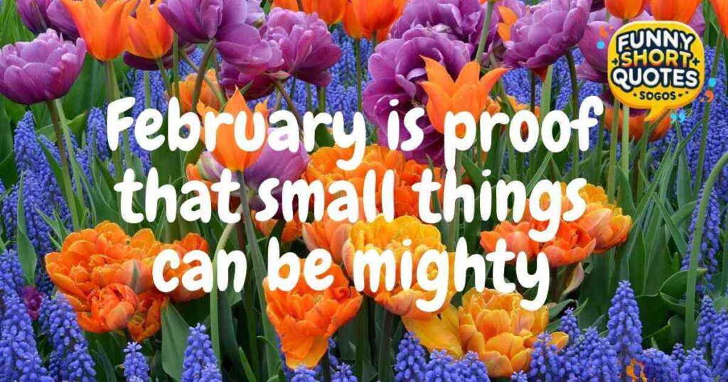 Short Happy February Quotes