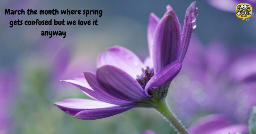 Funny Goodbye February Hello March Quotes