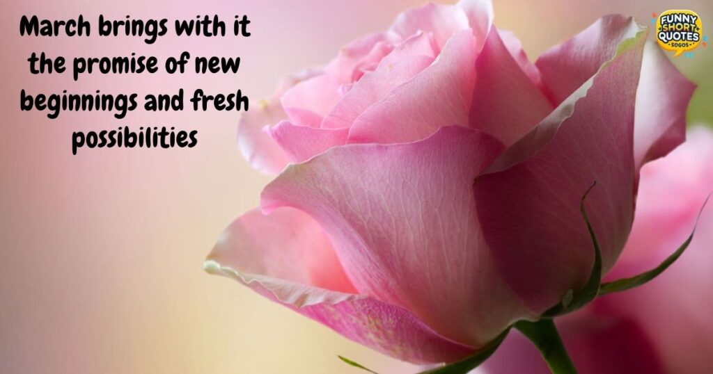 Goodbye February Hello March Quotes