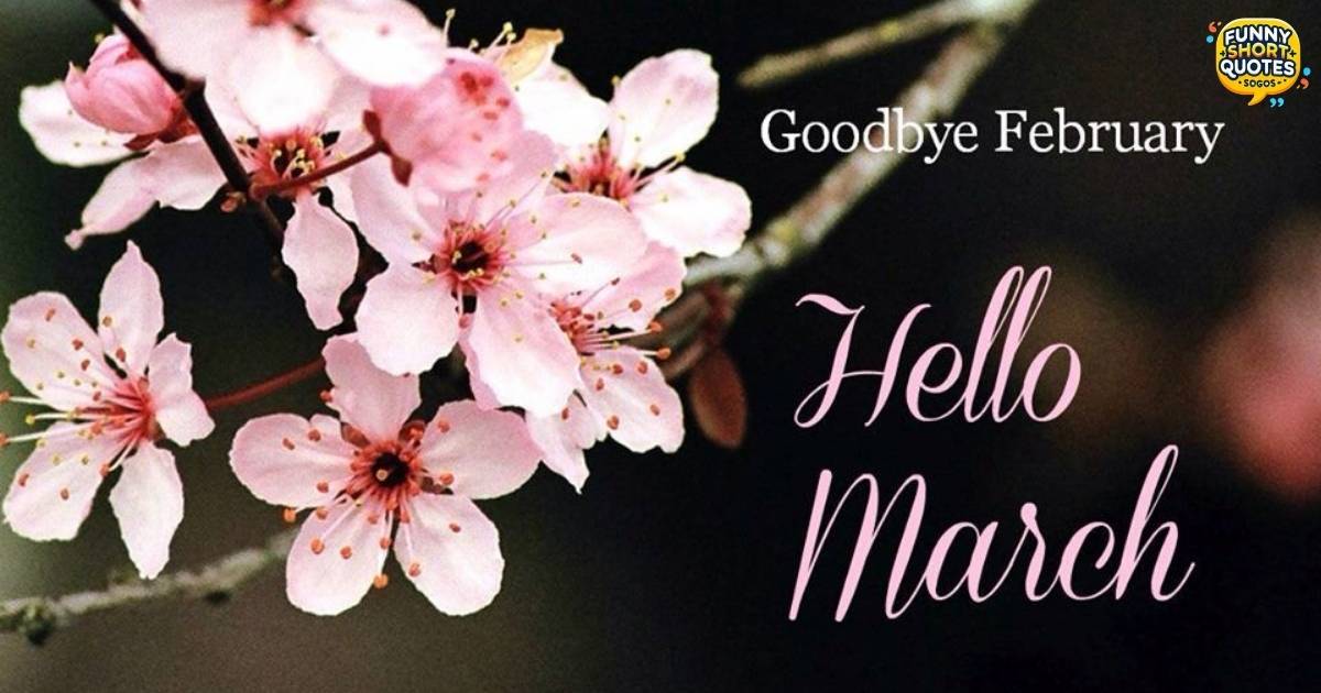 Goodbye February Hello March